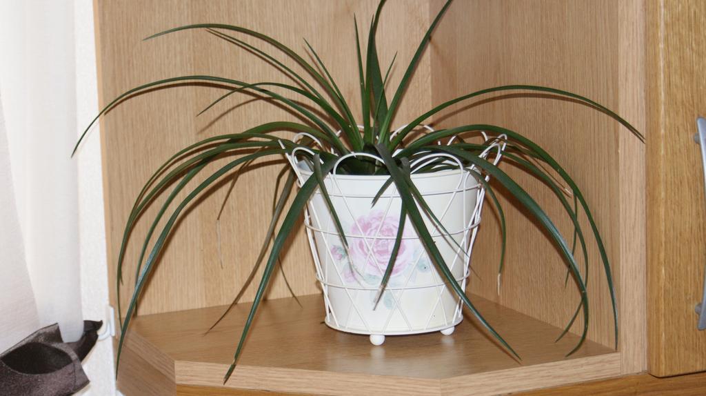 Apartman Nika Zára